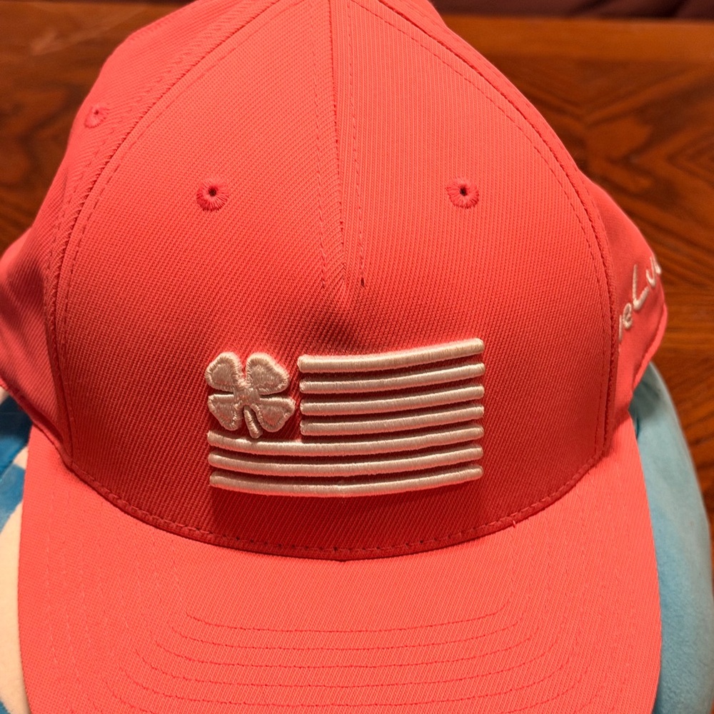 Black Clover Adults' Clover Nation 6 Flag Cap